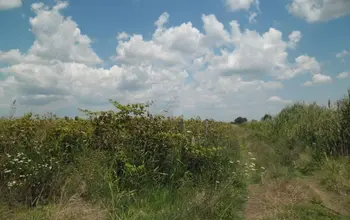 Auction image Farmland