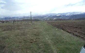 Auction image Farmland
