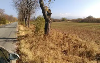 Auction image Land for building