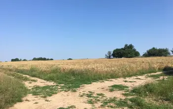 Auction image Farmland
