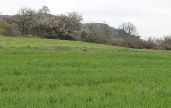 Auction image Farmland