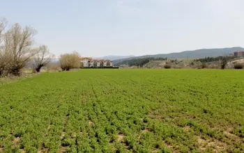 Auction image Farmland