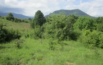 Auction image Land for building
