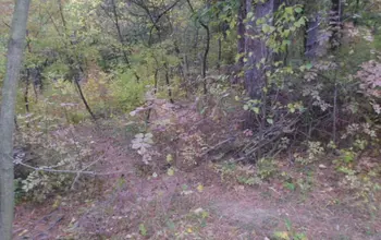 Auction image Farmland