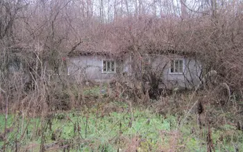 Auction image House