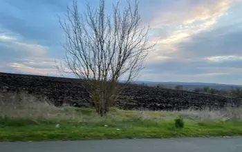 Auction image Farmland