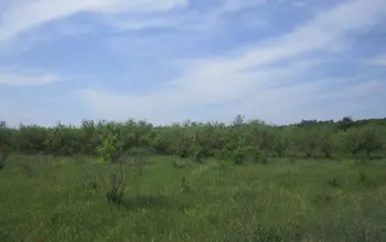Auction image Farmland