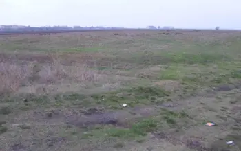 Auction image Farmland