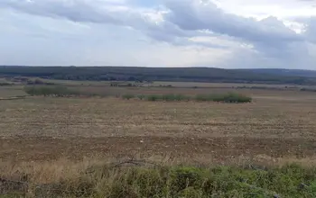 Auction image Farmland