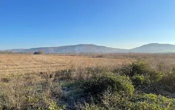 Auction image Farmland