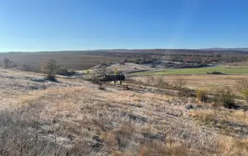 Auction image Farmland