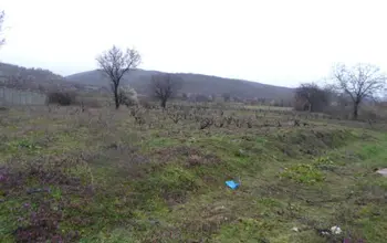 Auction image Farmland