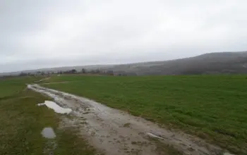 Auction image Farmland