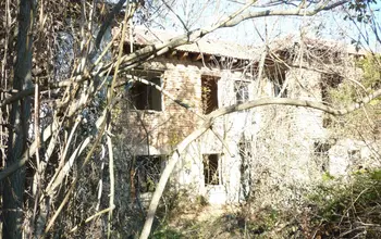 Auction image House