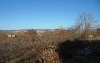 Auction image Парцел (ПИ, УПИ, двор)