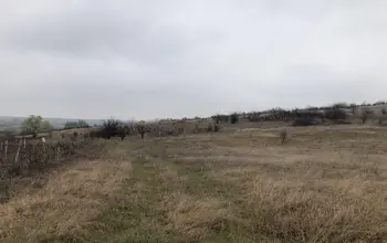 Auction image Farmland