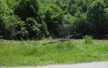 Auction image Farmland