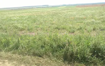 Auction image Farmland