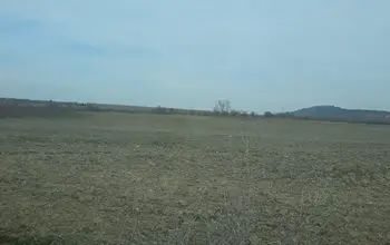 Auction image Farmland