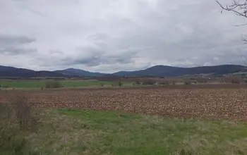 Auction image Farmland
