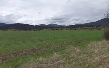 Auction image Farmland