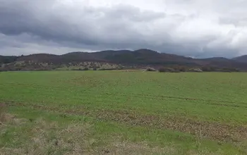 Auction image Farmland