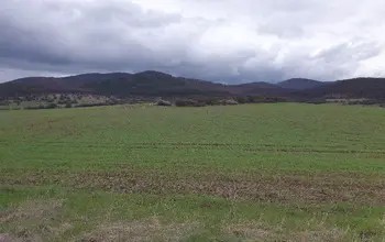 Auction image Farmland