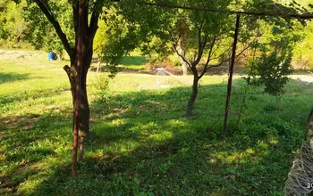 Auction image Land for building