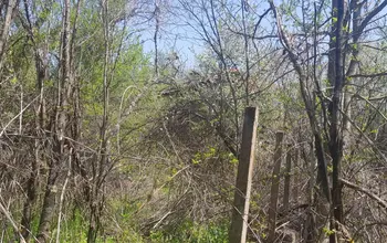 Auction image Land for building