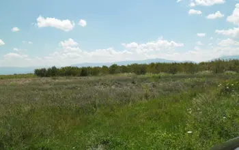 Auction image Farmland