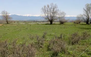 Auction image Farmland