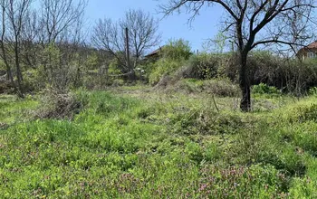 Auction image House