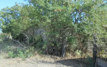 Auction image House