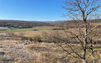 Auction image Farmland