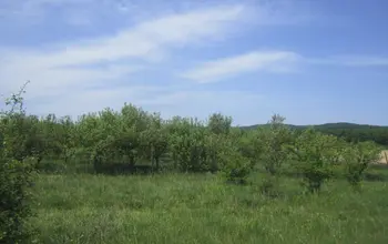 Auction image Farmland