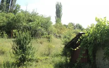 Auction image Farmland
