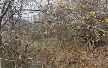 Auction image Land for building