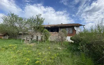Auction image House