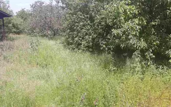 Auction image Farmland