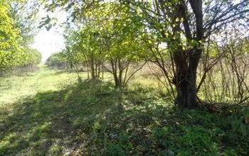 Auction image Land for building