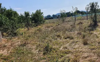 Auction image Farmland