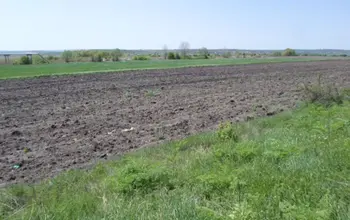 Auction image Farmland