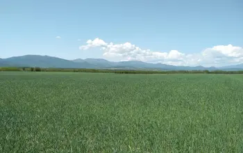 Auction image Farmland
