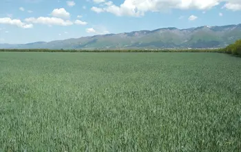 Auction image Farmland