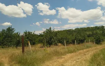 Auction image Farmland