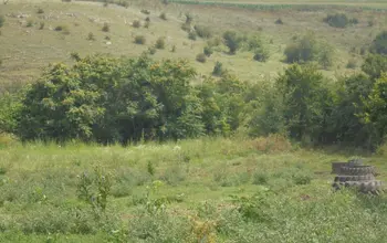 Auction image Land for building