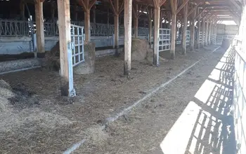 Auction image Farmland