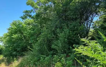 Auction image Land for building