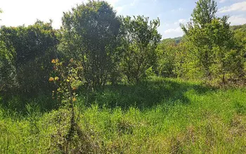 Auction image Land for building