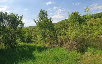Auction image Land for building